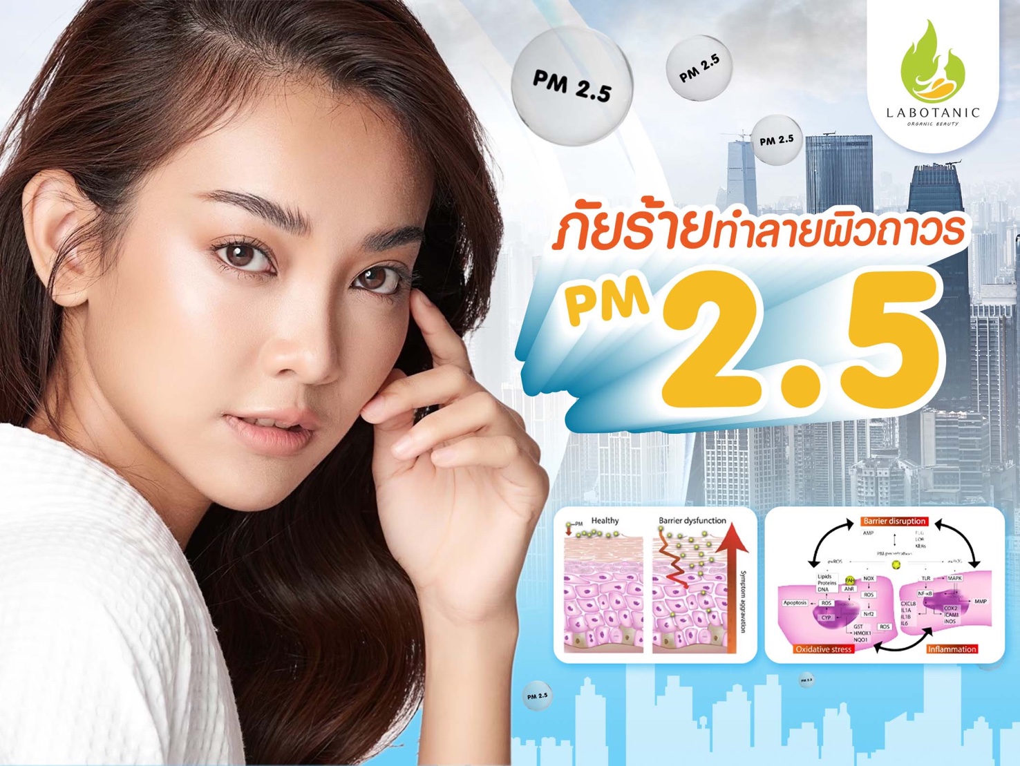 PM2.5 ภัยร้ายทำลายผิวถาวร 